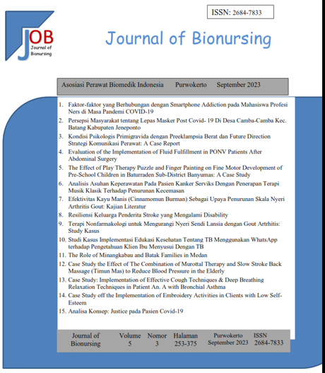 cover bionursing vol 5 no 3